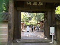 5年生