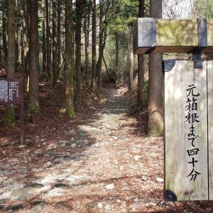 箱根旧街道・石畳の道