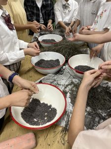 ラベンダー調整