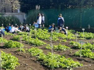 畑に集まっている様子