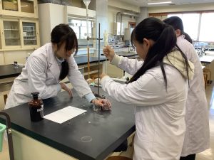 ビタミンCの実験