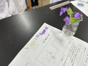 生徒のスケッチ