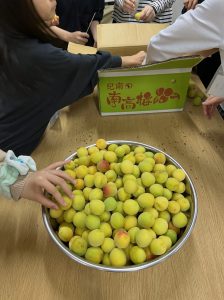 アンズ加工