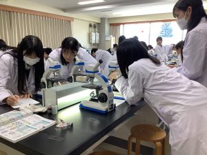 スケッチしているところ