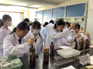 抽出液や展開液をとりわけているところ