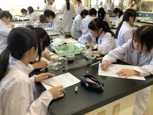 薄層クロマトグラフィーの結果を確かめているところ