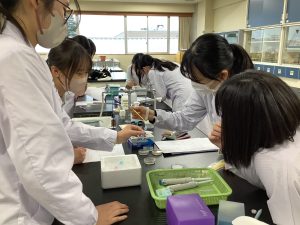 試験管に物質を入れるところ