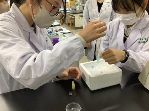 プラスミドの導入