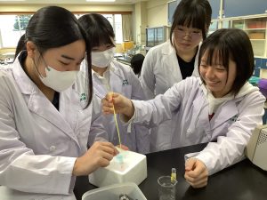 プラスミドの導入