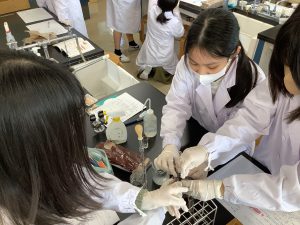 血液を温めたり氷水につけたり