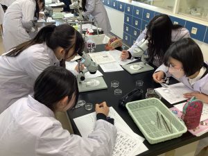 土壌動物の観察その３