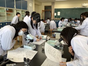 土壌動物の観察その４