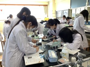 土壌生物の観察その１