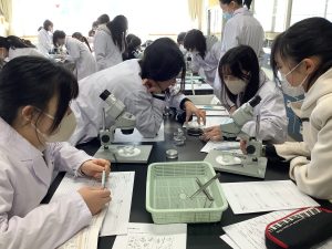 土壌生物の観察その２