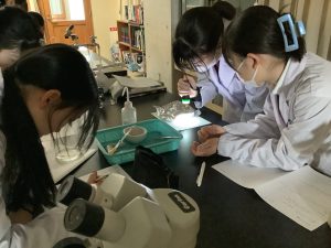 光走性の観察２