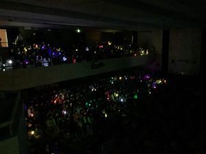 ペンライトを振っている様子