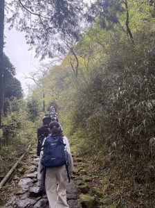 山登りをしている様子