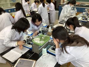 スケッチしているところ