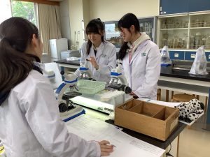 見えたものを確認