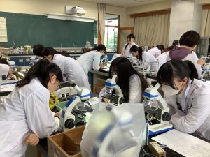 観察しているところ