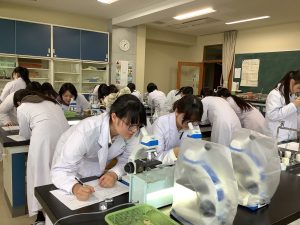 顕微鏡で観察しているところ