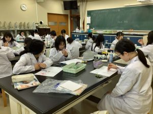 観察してスケッチしているようす