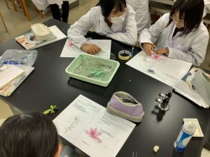 生徒作成のプリントのようす