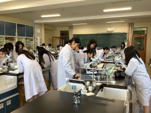 ツクシの観察３