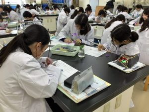 スケッチしているところ１