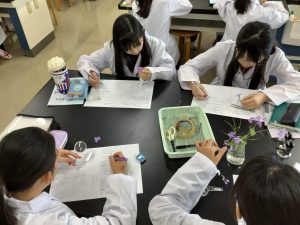 花を観察しているところ