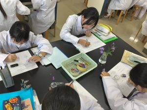 スケッチしているところ３