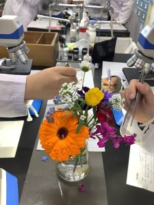 校内で咲いていた9種類の花を使用