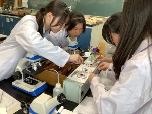 化学的に調べる