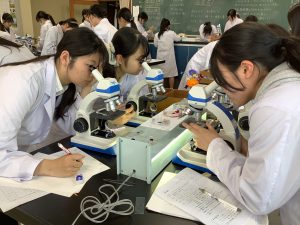 顕微鏡での観察１