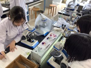 スケッチしているところ