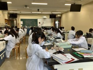 タンポポの観察２
