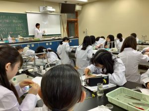 タンポポの観察３
