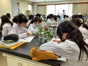 野草の観察３