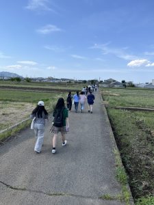 イチゴのハウスへの道